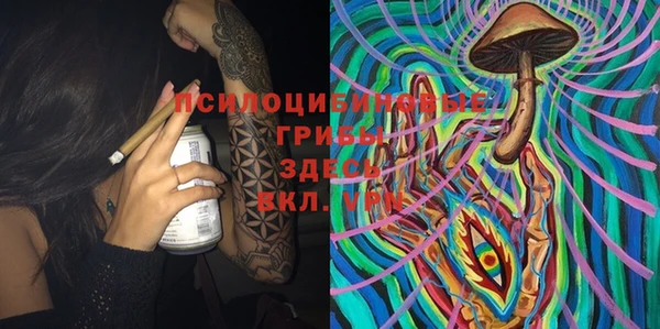 не бодяженный Осинники