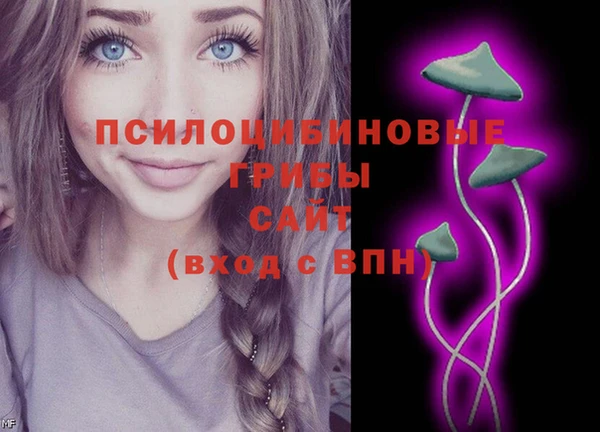каннабис Верея