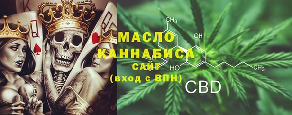 амф Верхний Тагил