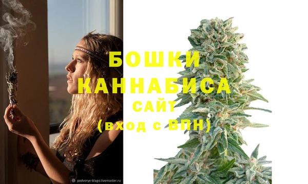 амф Верхний Тагил